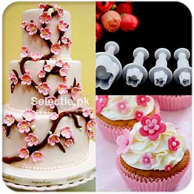 Blossom Flower Cake Decore Supply Shop Diy Fondant Wholesale Shahalam Lahore Plunger Cutter